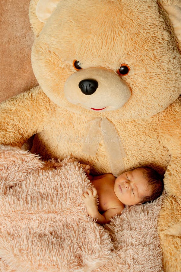 Two Week Old Newborn Baby Sleeping on Teddy Bear Stock Photo Image of family, adorable 190492582