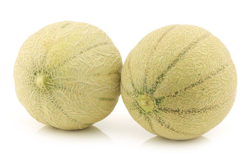 Two Whole Cantaloupe Melons Stock Photo Image of sweet, lunch 32275528