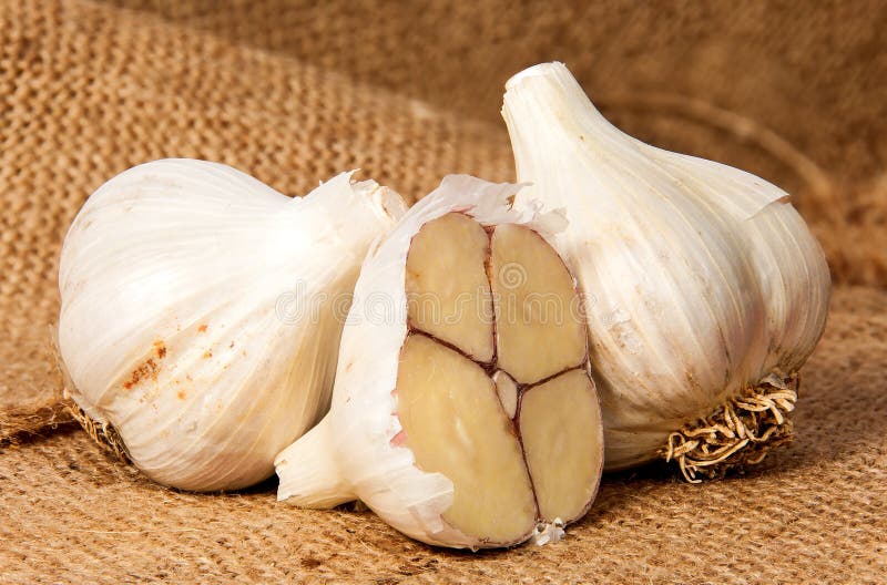 Two Whole Half Head Garlic Stock Photos Free & RoyaltyFree Stock Photos from Dreamstime