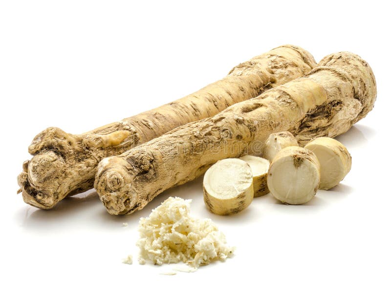 Horseradish stock image. Image of freshly, fresh, circles 103026745