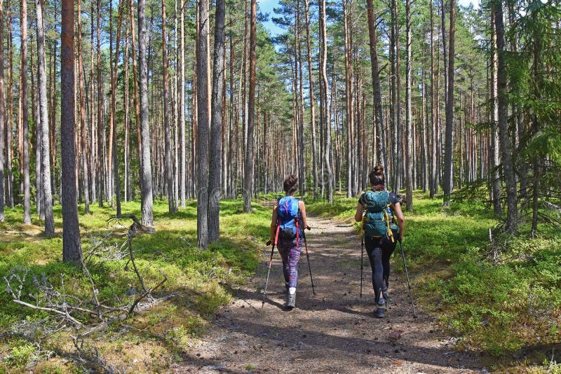 Two Women With Backpacks Trekking On Forest Path