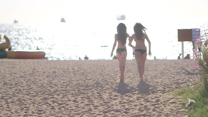 Two Young Beautiful Girl in a Bikini Walking on the Beach during Sunset Stock Footage - Video of girls, cute: 84302332 