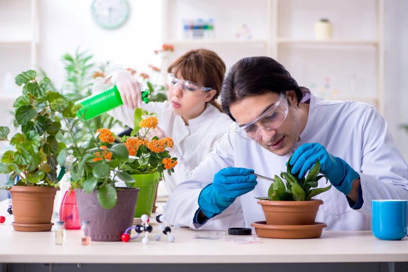 555 Botanist Lab Photos Free Royalty Free Stock Photos From Dreamstime