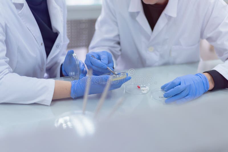 Two Young Scientists Working in a Laboratory and Doing Research