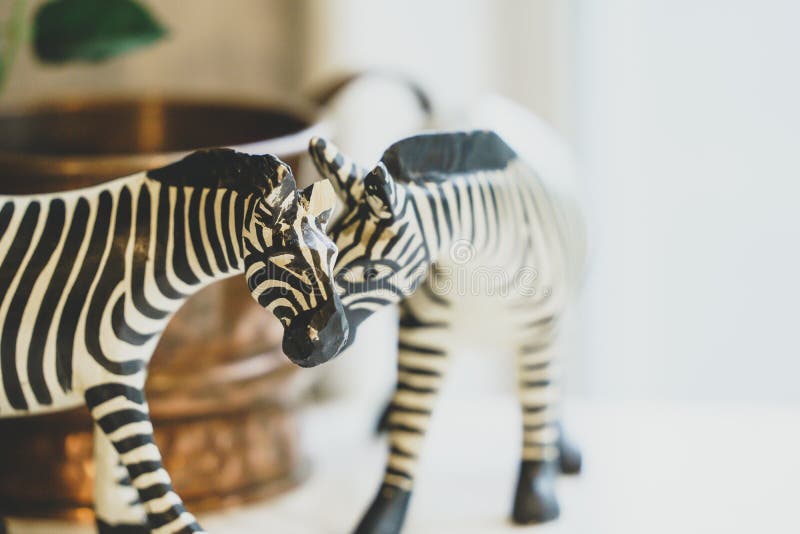 Two Zebra Dolls Decoration Display on Table Stock Photo Image of