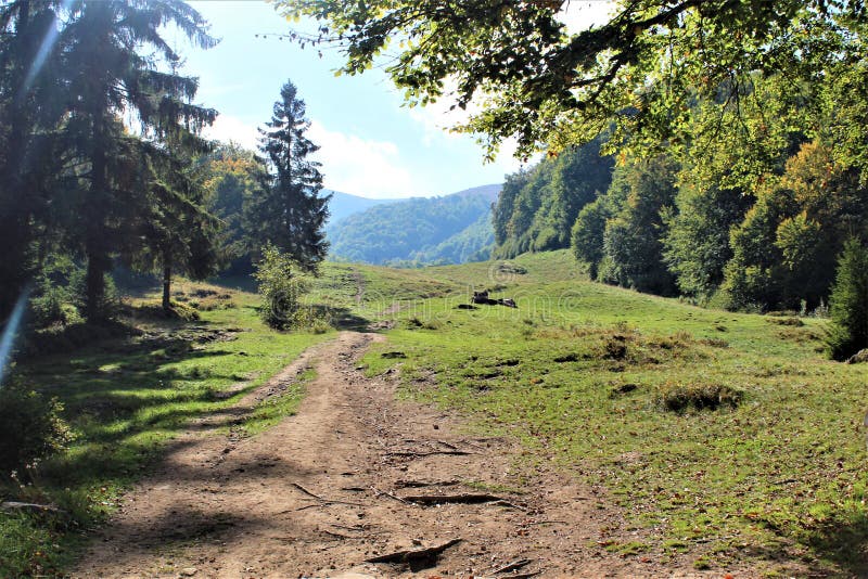 Tyck om ditt lopp med Carpathians berg, skönhet av byn royaltyfria foton Tyck om ditt lopp med Carpathians berg, skönhet av byn royaltyfria foton