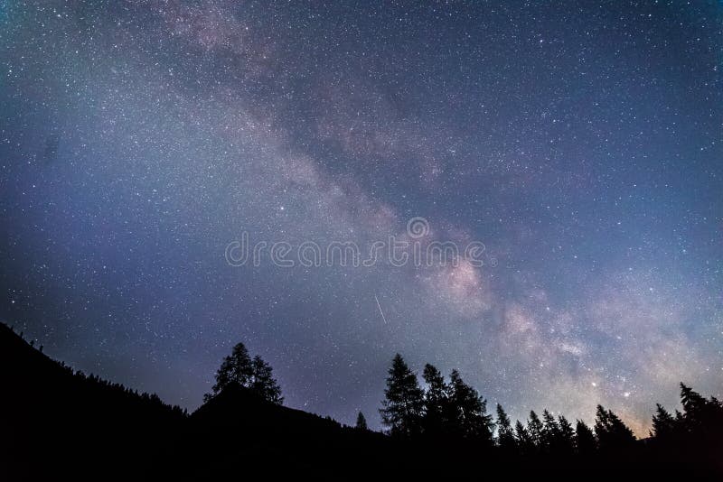 Tydligt mjölkaktig galaxi vid mörk natt, silhuett av träd royaltyfri fotografi