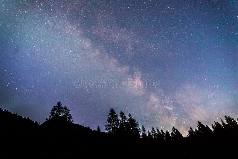 Tydligt mjölkaktig galaxi vid mörk natt, silhuett av träd fotografering för bildbyråer