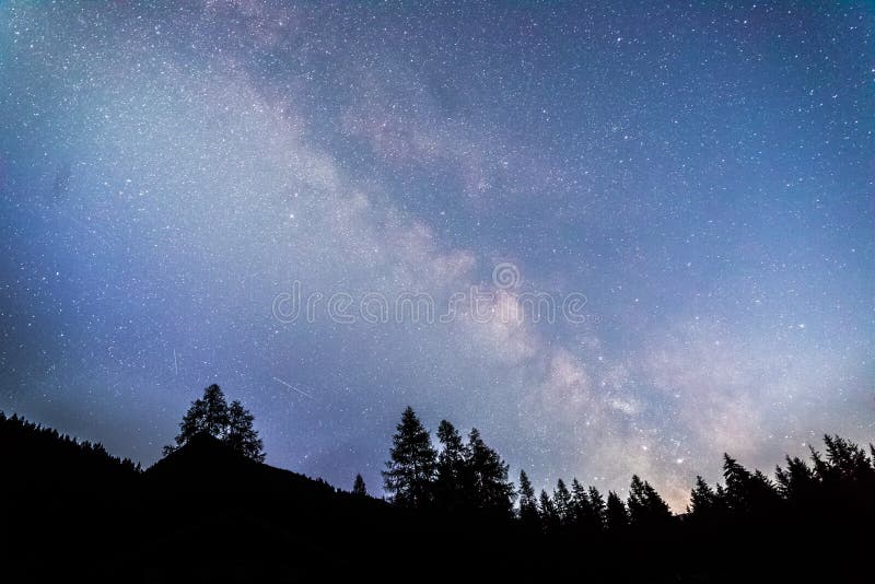 Tydligt mjölkaktig galaxi vid mörk natt, silhuett av träd royaltyfri bild