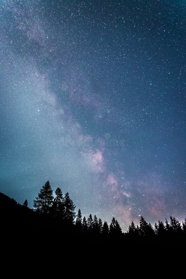 Tydligt mjölkaktig galaxi vid mörk natt, silhuett av träd royaltyfria foton