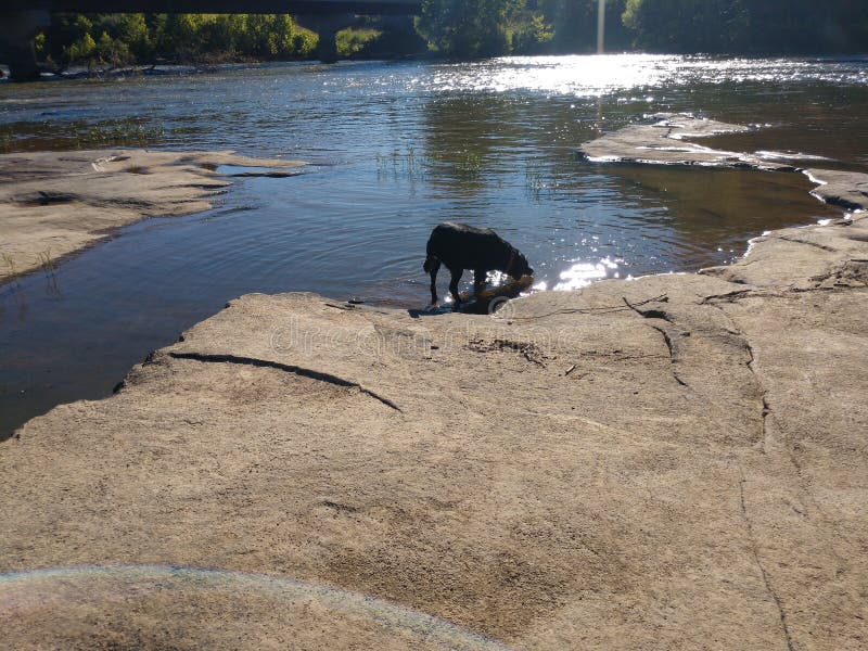 Tygart Valley River Surrounded By Trees At Daylight In The Valley Falls