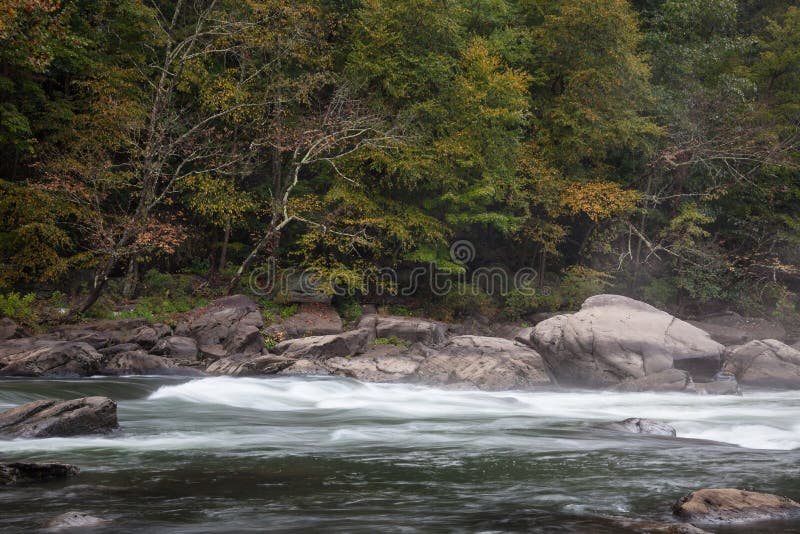 Tygart Valley River Surrounded by Trees at Daylight in the Valley Falls
