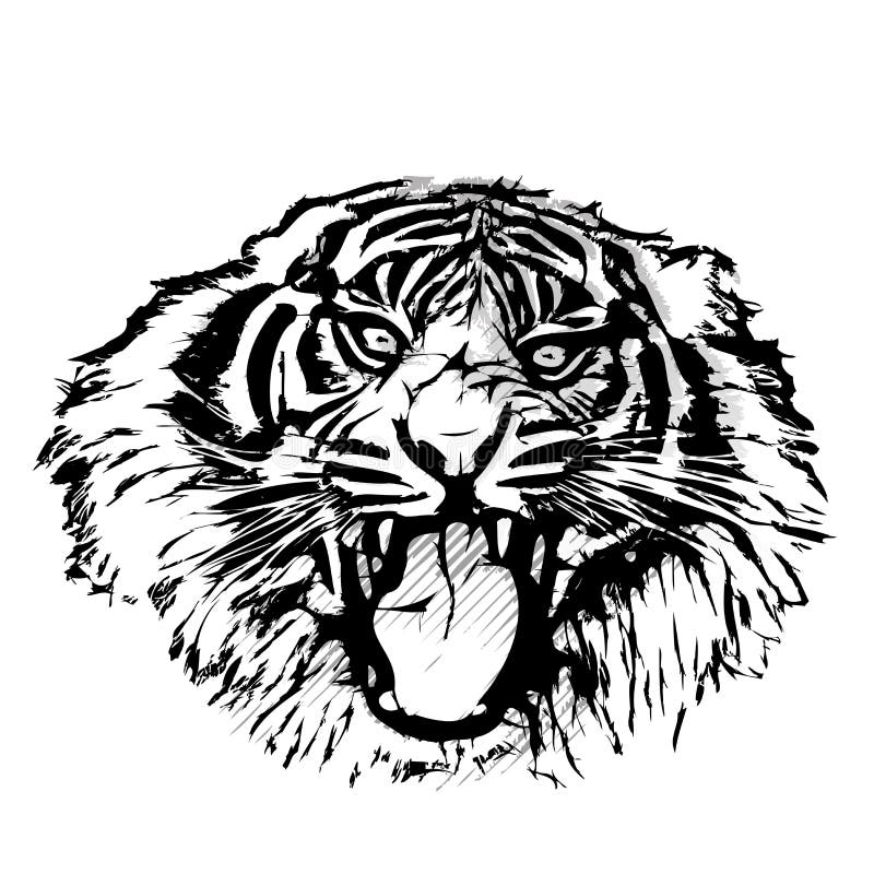 Tygrys Kierownicza grafika ilustracja wektor Tygrys Kierownicza grafika ilustracja wektor