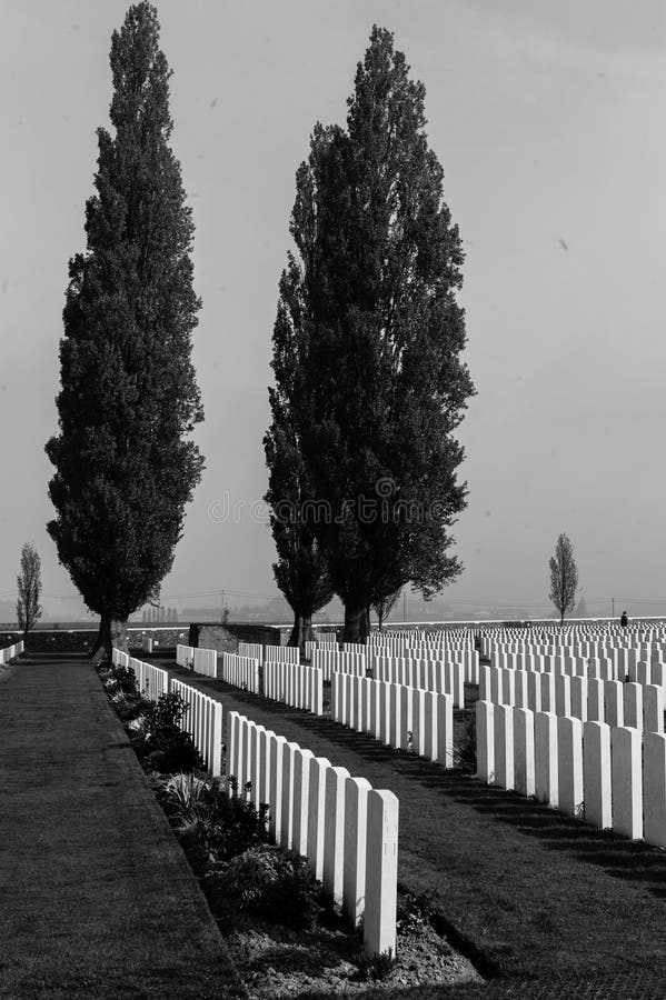 Lettino per bambini è un uno da il più grande la guerra campo La zona giro un.