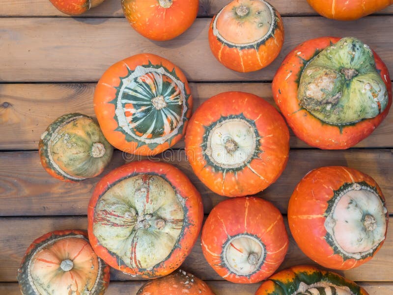Type peu commun de courge de turban de potiron sur un compteur en bois Beaucoup potiron orange sur une table en bois Potiron pend photographie stock Type peu commun de courge de turban de potiron sur un compteur en bois Beaucoup potiron orange sur une table en bois Potiron pend photographie stock