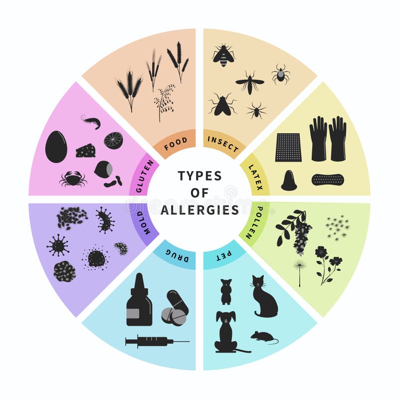 Typen allergieën voor illustraties van het ontwerp van de grafische kaart Dierlijk haar, latex, geneesmiddelen, insecten, voedsel