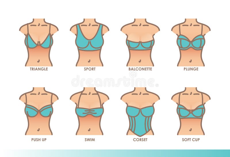 Types of bras. The complete vector collection of lingerie Stock Vector