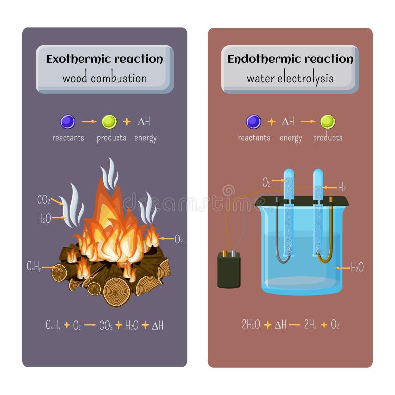 Types of chemical reaction. Exothermic - wood combustion and endothermic - water electrolysis.