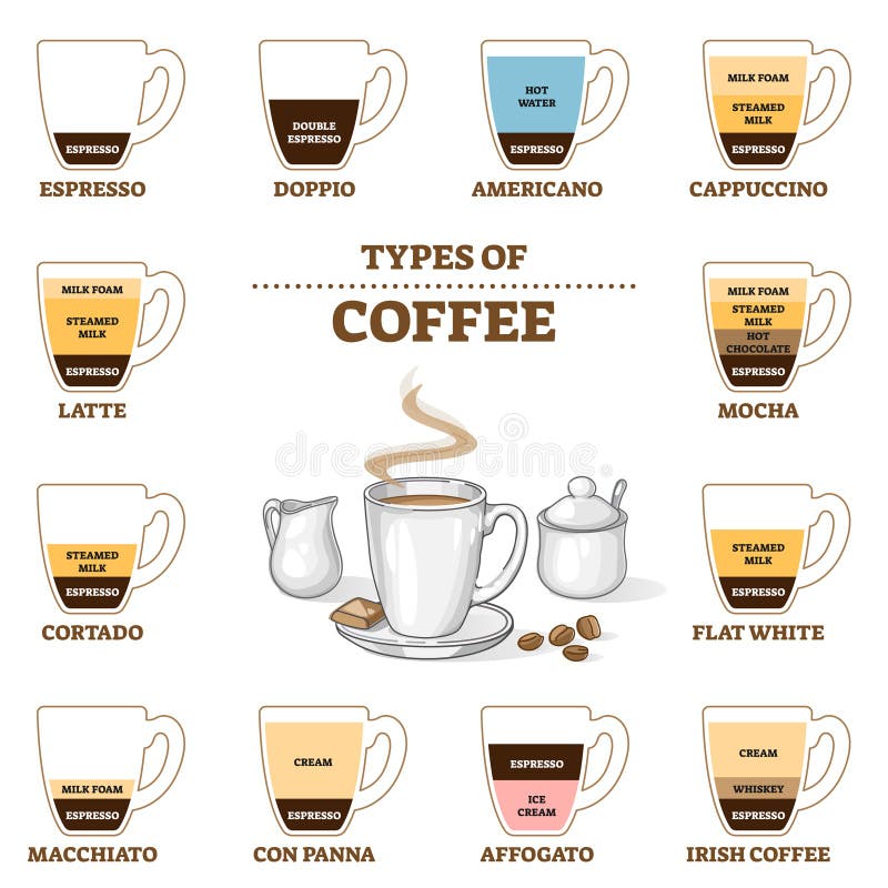 https://thumbs.dreamstime.com/b/types-coffee-cafe-preparation-proportion-guide-outline-diagram-educational-barista-instruction-various-hot-beverage-212410824.jpg