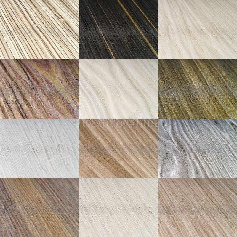 Types en bois de couverture réglés photo stock Types en bois de couverture réglés photo stock