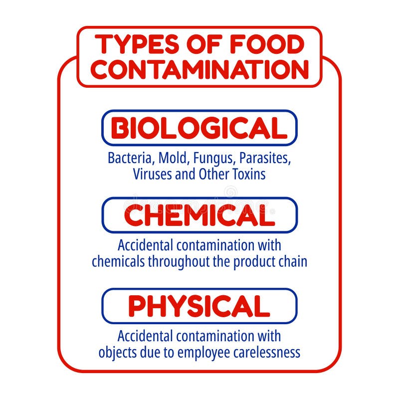 Types Of Food Contamination Food Safety Display Boards Stock Vector Illustration Of Recycled Physical 187967948