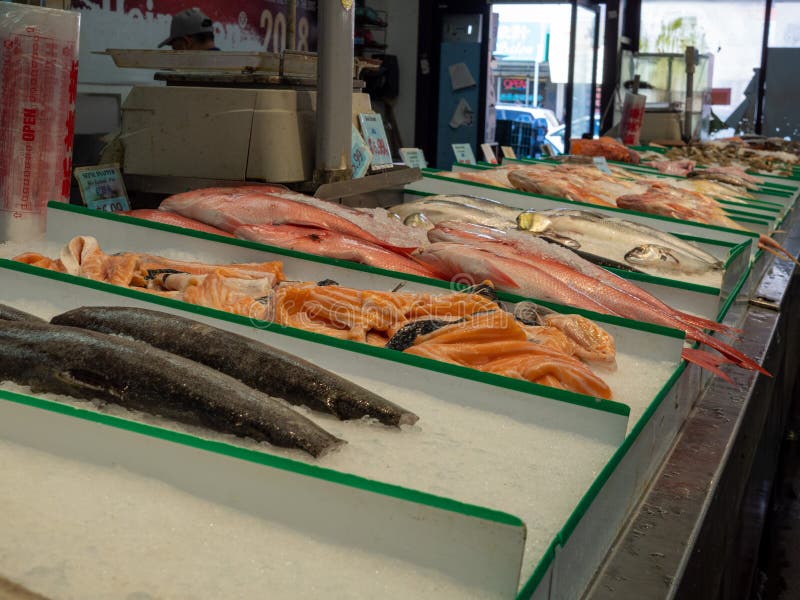 Types of Fresh Fish Sitting on Ice in Grocery Store Seafood Section for