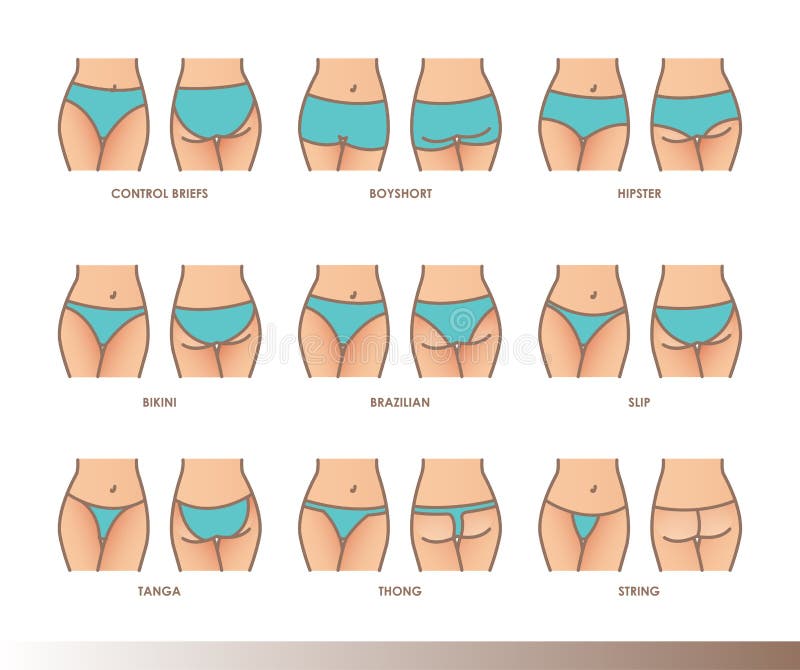 Types of Panties , Women Underwear. Lingerie Stock Illustration