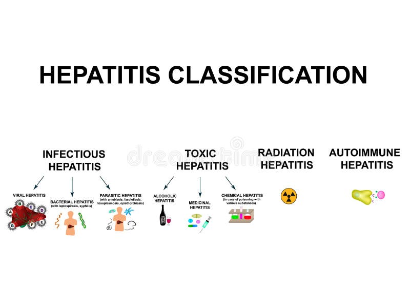 Types Of Viral Hepatitis Classification Of Hepatitis A B C D E F G Toxic Infectious Autoimmune Radiation Stock Vector Illustration Of Care Bacillus
