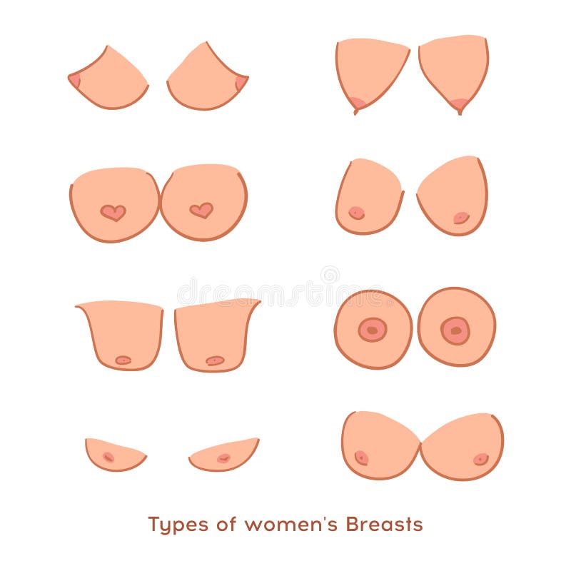 Different Shapes Of Breast, Women Breast, Vector Illustration