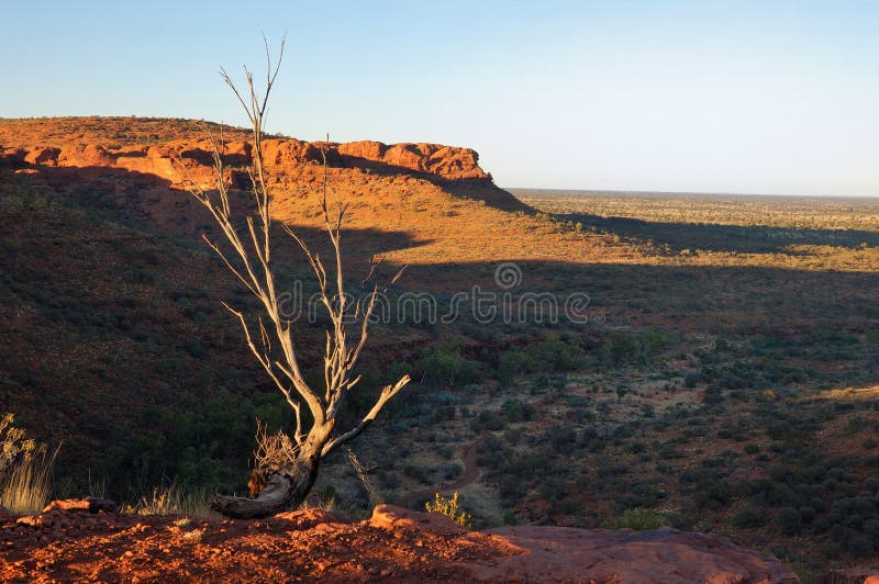 Typical Australian Outback Scene (King's Canyon) royalty free stock photography