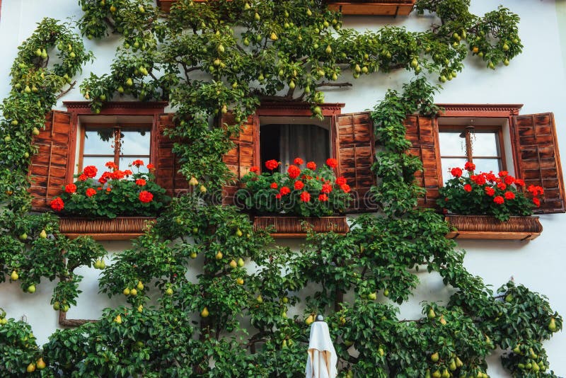 Typical Austrian Alpine house with bright flowers on the balcony
