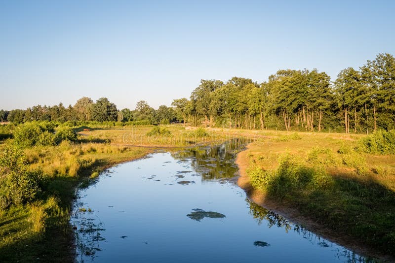 Typical Dutch Summer landscape in July near Delden Twente, Overijssel