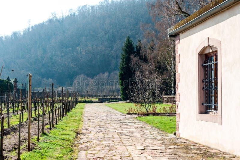 Typical french chateau historical wine region, vineyards in Alsace, France stock images Typical french chateau historical wine region, vineyards in Alsace, France stock images