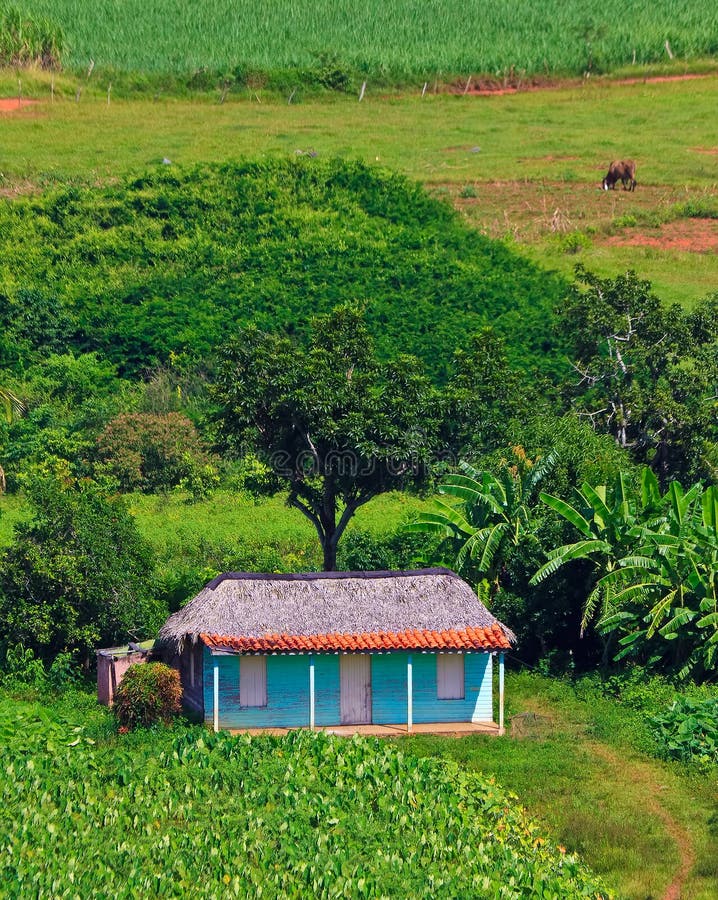 Typical House In The Cuban Countryside Stock Image Image of caribbean