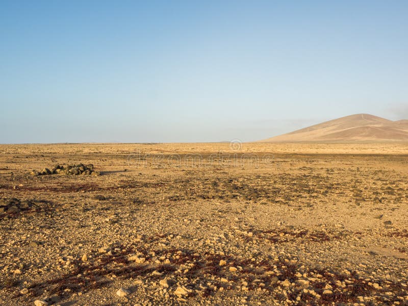 Typical Landscape of Fuerteventura, Canary Islands Stock Photo - Image ...