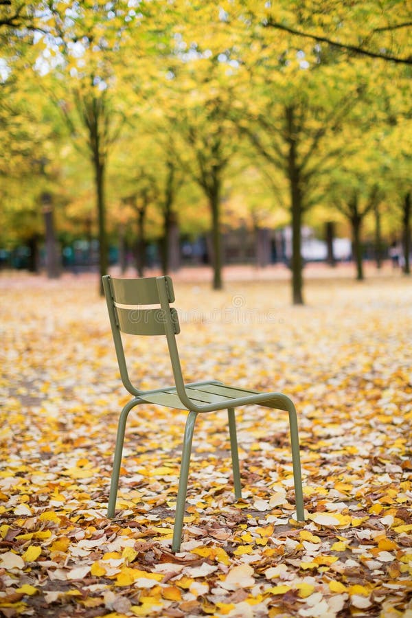 Typical park chair in the Luxembourg Garden. Paris