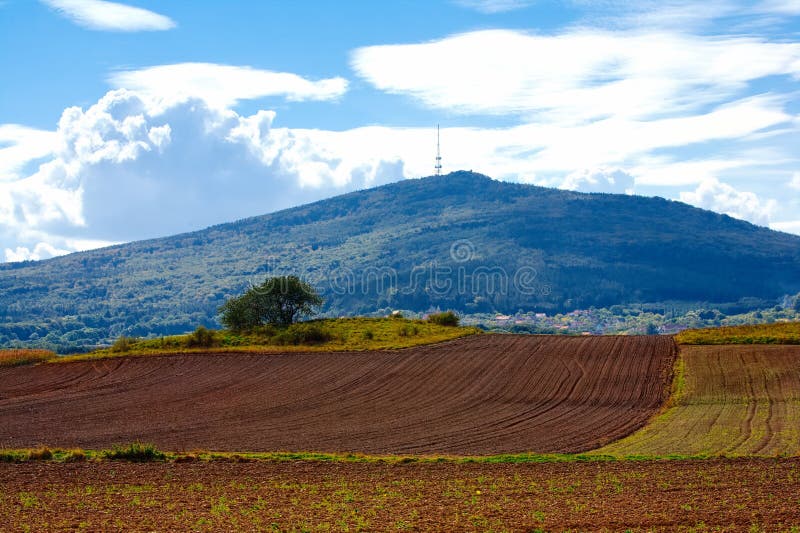 Typical Polish landscape