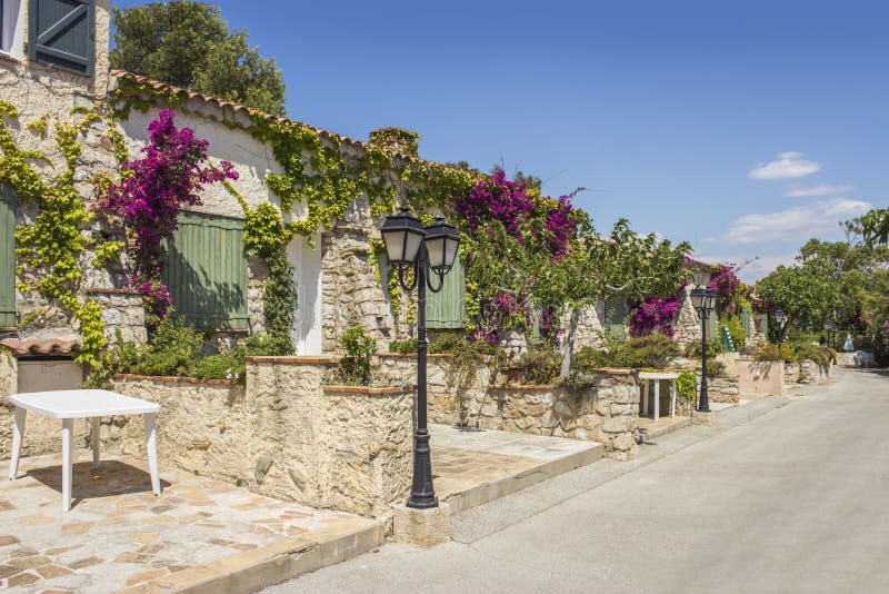 Typical Provencal alley, Embiez Island, south of France royalty free stock photos Typical Provencal alley, Embiez Island, south of France royalty free stock photos