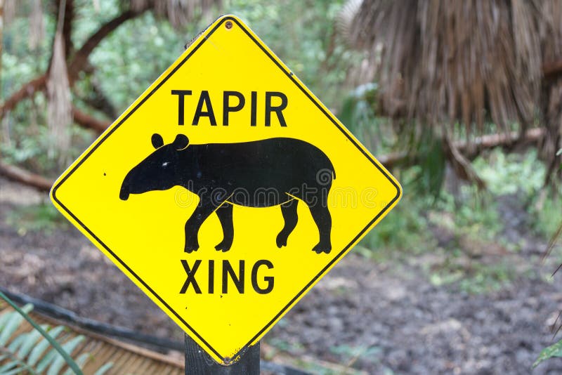 Typical sign waning about tapir possibly crossing the road