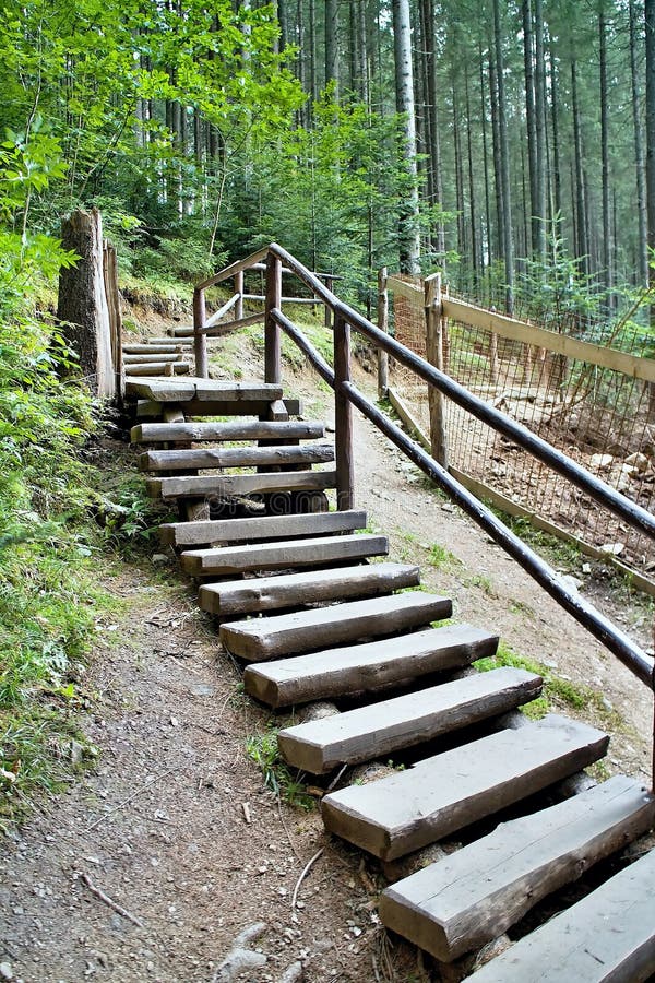 Typical walk in the forest open-air museum in Vydrovo.