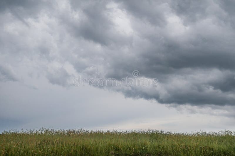 Typical wild landscape in Brittany with amazing dark cloudy sky, unique desolate countryside with nobody stock images Typical wild landscape in Brittany with amazing dark cloudy sky, unique desolate countryside with nobody stock images