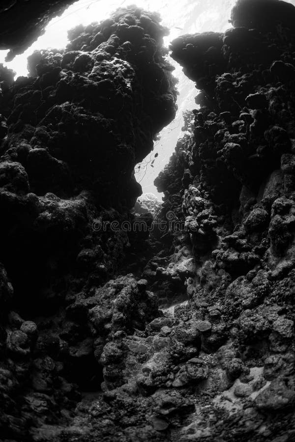 Typische Unterwasserhöhle in einem roten Meeresriff in Schwarz und Weiß lizenzfreie stockfotografie