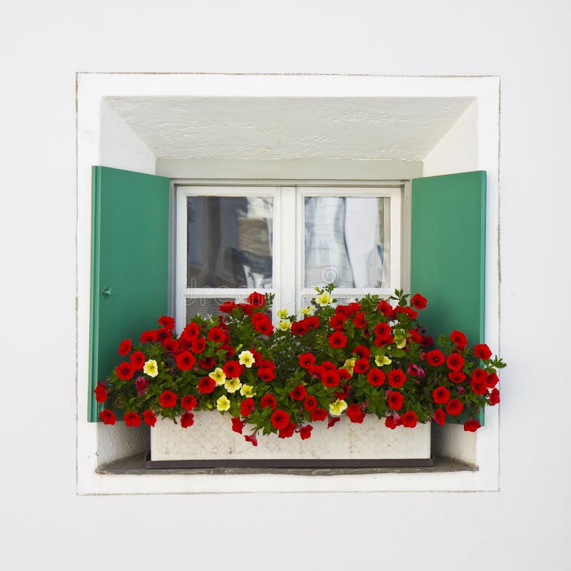 Typisches Schweizer Fenster Mit Fensterläden In Grünen Und