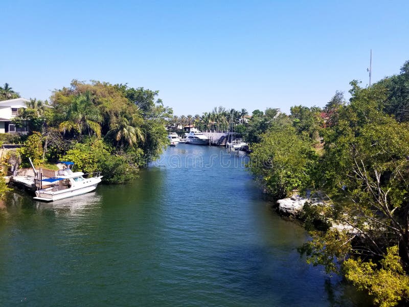typisk strandgemenskap i florida arkivfoton typisk strandgemenskap i florida arkivfoton