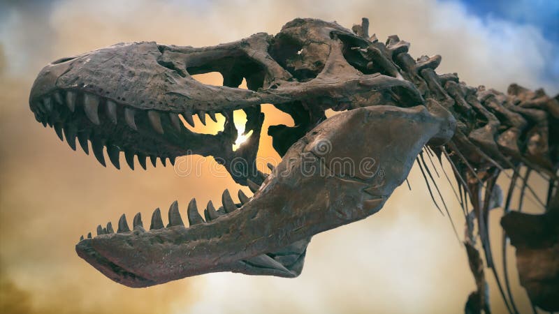 Tyrannosarie Rex Dinosaur Fossil Smoke