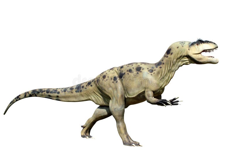 Tyrannosaurus rex isolated on white background. Tyrannosaurus rex isolated on white background
