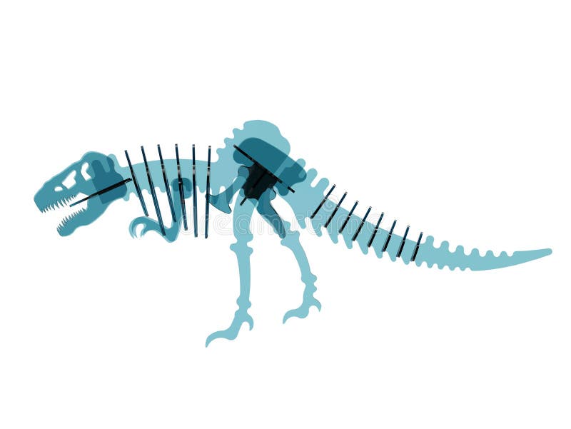 Tyrannosarierexskelett royaltyfri illustrationer Tyrannosarierexskelett royaltyfri illustrationer