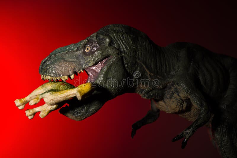 Tyrannosaure mordant un plus petit dinosaure avec la lumière de tache sur la lumière principale et rouge photos libres de droits Tyrannosaure mordant un plus petit dinosaure avec la lumière de tache sur la lumière principale et rouge photos libres de droits