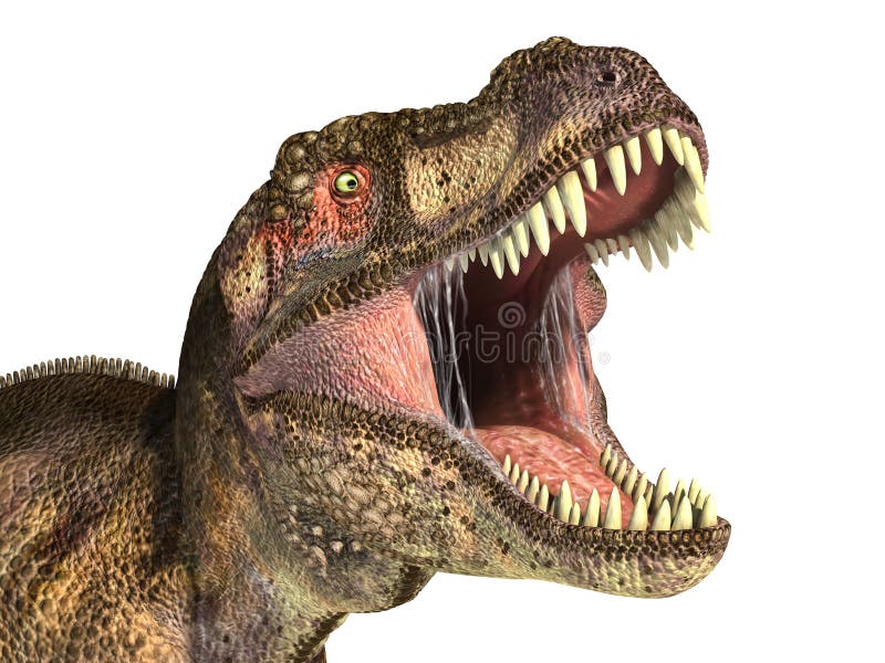 triangle head dinosaur