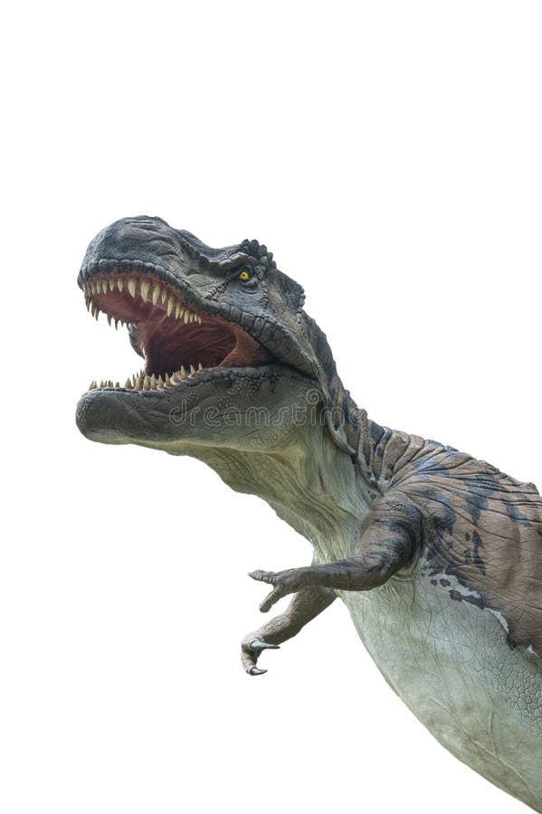 Tyrannosaurus rex isolato su fondo bianco